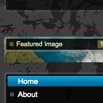 NASA's Hydrospheric and Biospheric Sciences